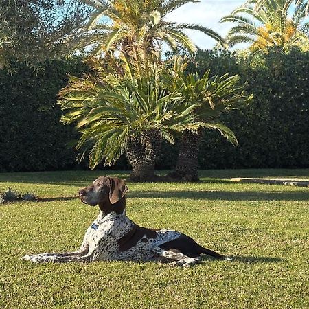 La Calma Espectacular Villa Con Jardin Y Piscina En Menorca S'Algar Bagian luar foto